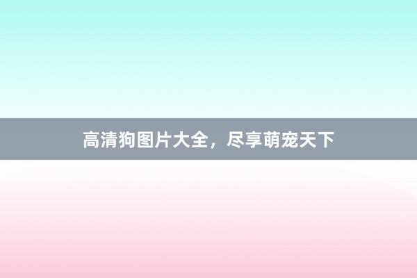 高清狗图片大全，尽享萌宠天下