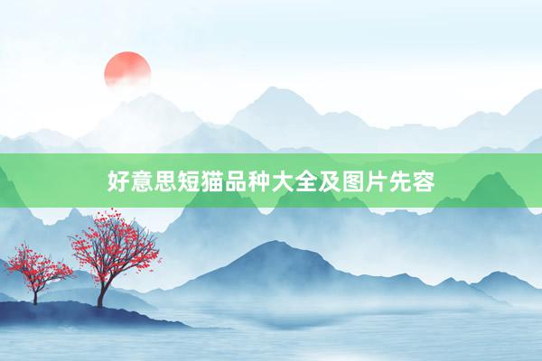 好意思短猫品种大全及图片先容